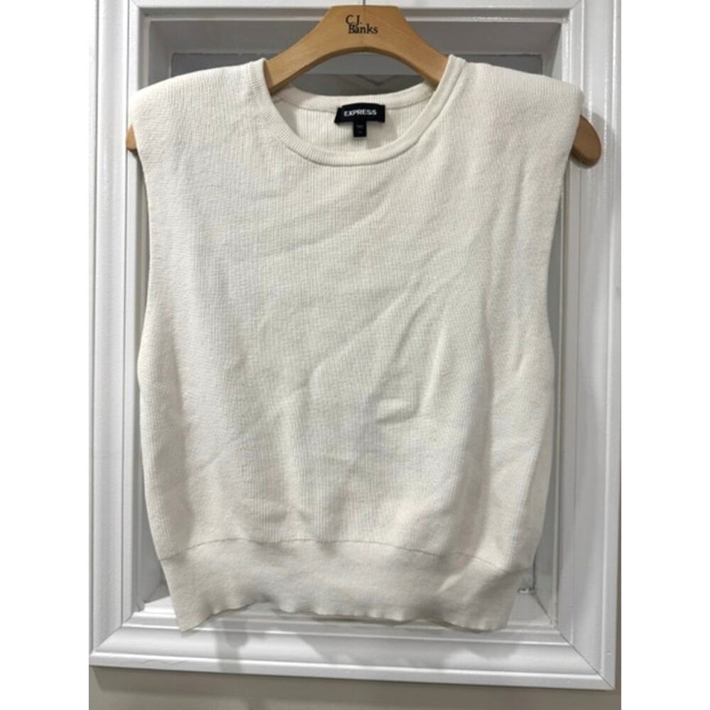 Express Sweater Vest